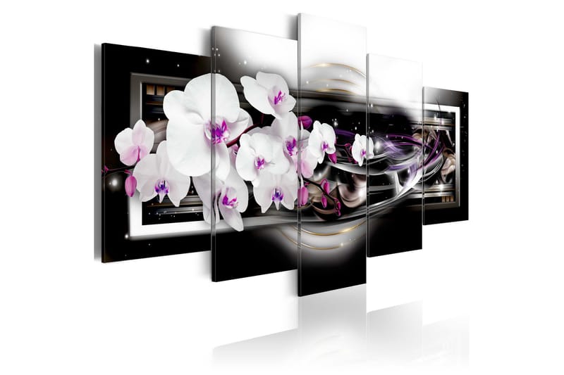 Bilde Orchids On A Black Background 200x100, Artgeist sp. z o. o.