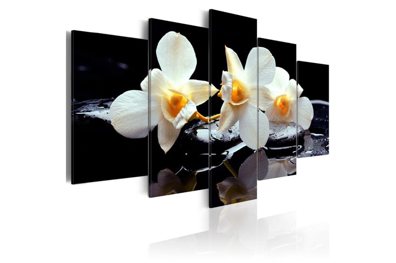 Bilde Orchids With Orange Accent 200x100, Artgeist sp. z o. o.