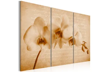 Bilde Orkidé Vintage 120x80 - Artgeist sp. z o. o. - Innredning - Bilder & kunst - Lerretsbilder