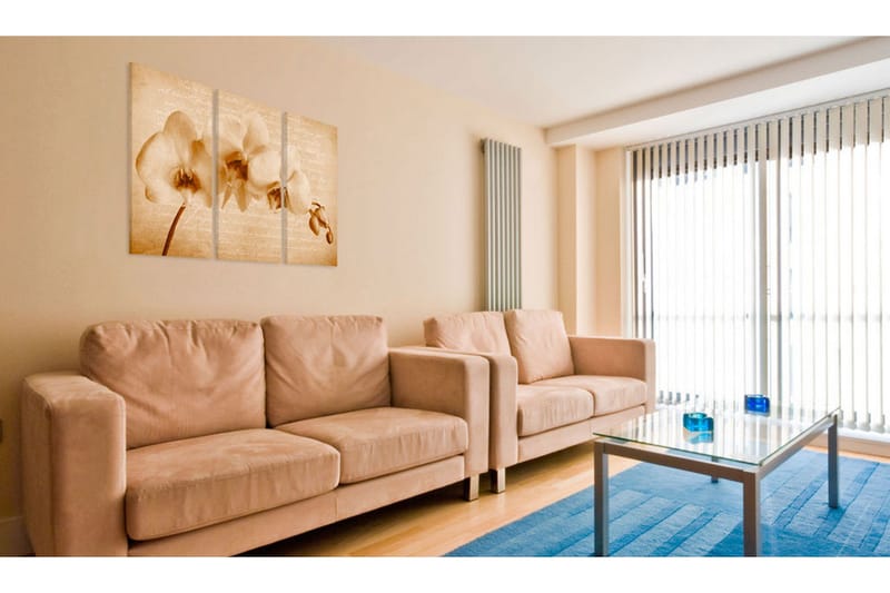 Bilde Orkidé Vintage 60x40 - Artgeist sp. z o. o. - Innredning - Bilder & kunst - Lerretsbilder