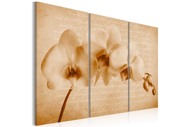 Bilde Orkidé Vintage 60x40 - Artgeist sp. z o. o. - Innredning - Bilder & kunst - Lerretsbilder