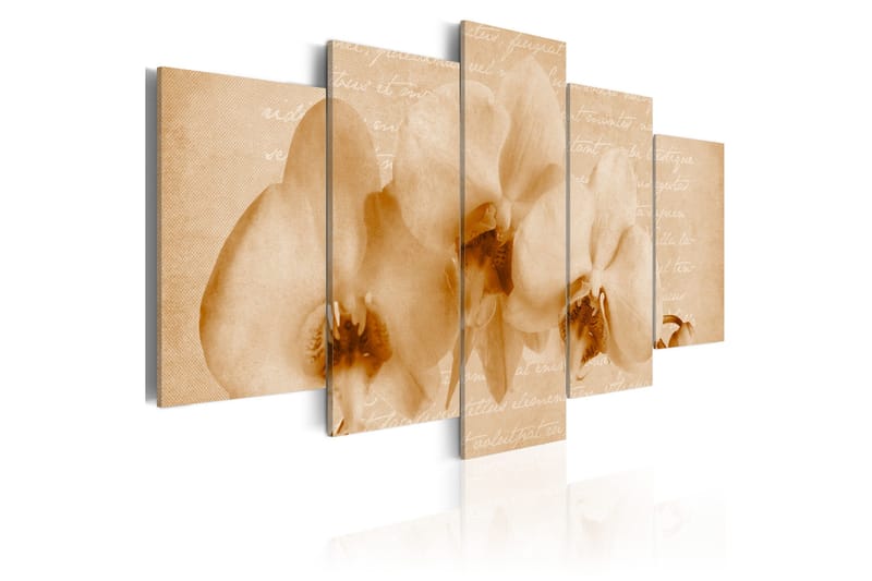 Bilde Orkidéer 100x50 - Artgeist sp. z o. o. - Innredning - Bilder & kunst - Lerretsbilder