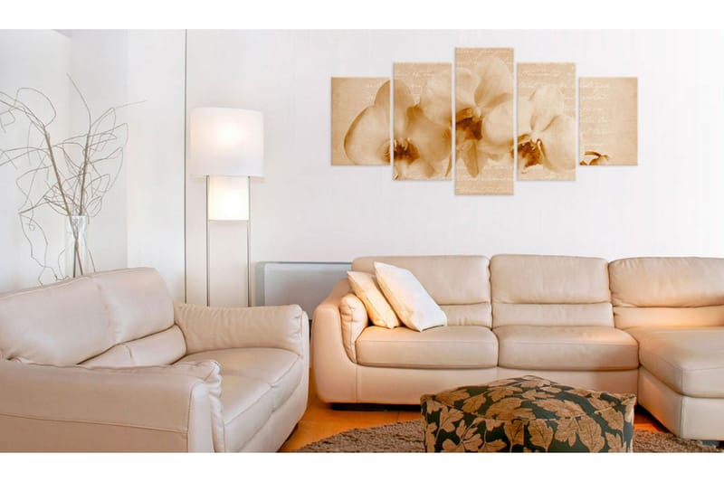 Bilde Orkidéer 100x50 - Artgeist sp. z o. o. - Innredning - Bilder & kunst - Lerretsbilder