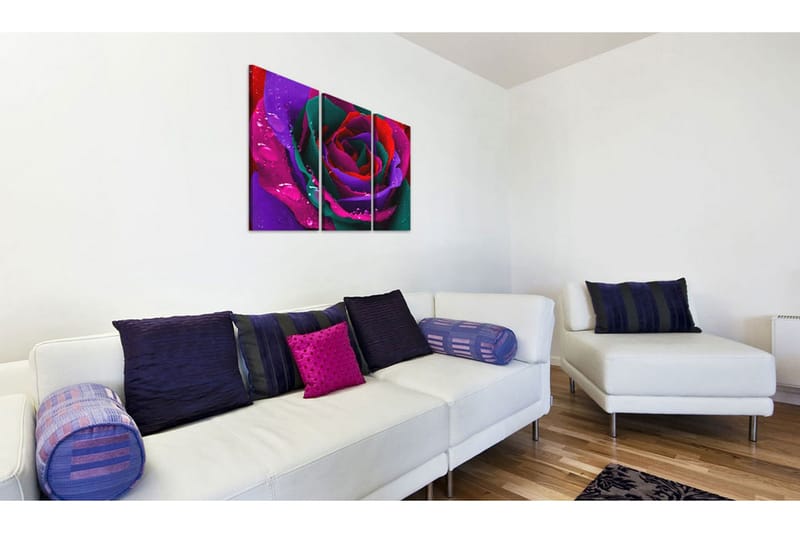 Bilde Rainbow-Farget Rose 120x80 - Artgeist sp. z o. o. - Innredning - Bilder & kunst - Lerretsbilder