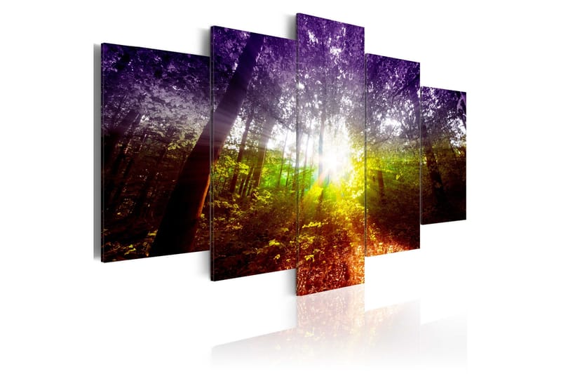 Bilde Rainbow Forest 200x100, Artgeist sp. z o. o.