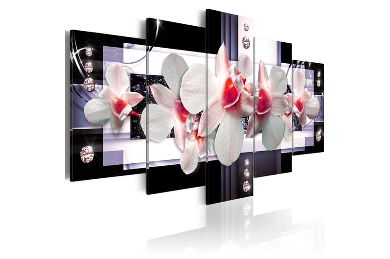 Bilde Raspberry Accent 200x100, Artgeist sp. z o. o.