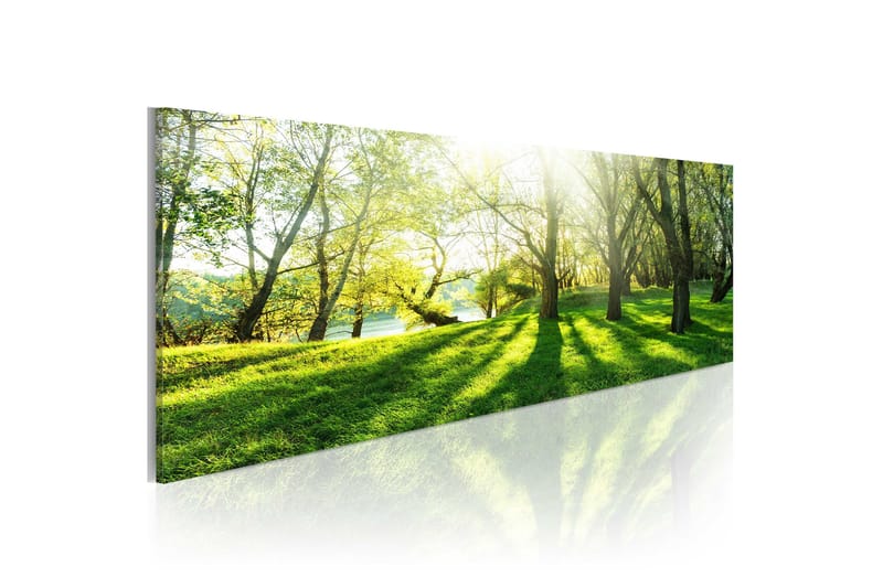 Bilde Rays Of Sunshine 120x40, Artgeist sp. z o. o.