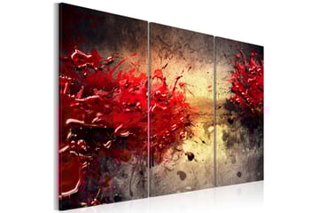 Bilde Red splash 90x60