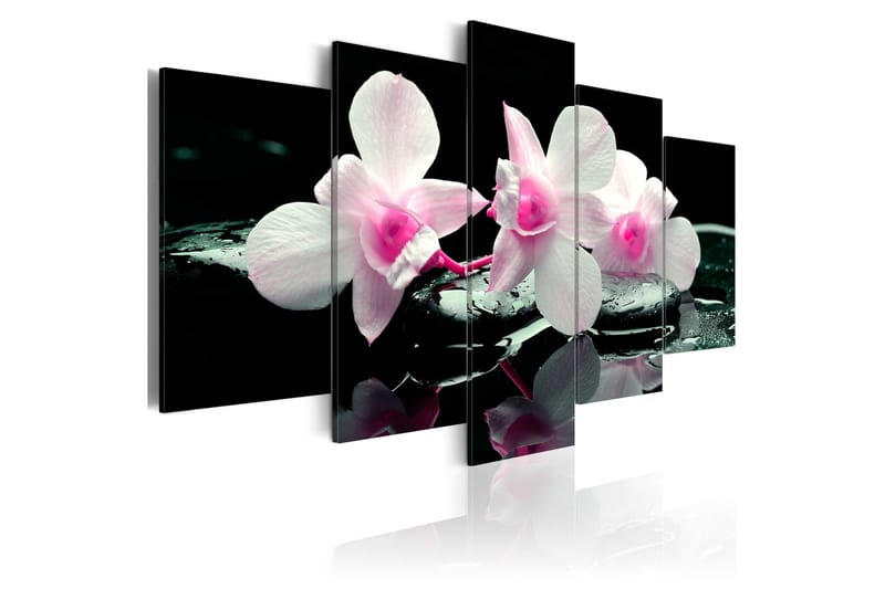 Bilde Rest Of Orchids 100x50, Artgeist sp. z o. o.
