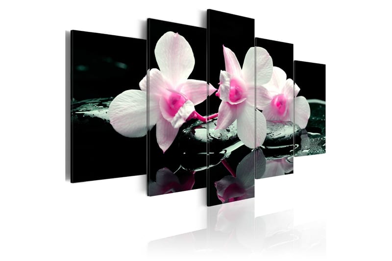 Bilde Rest Of Orchids 200x100 - Artgeist sp. z o. o. - Innredning - Bilder & kunst - Lerretsbilder