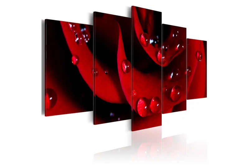 Bilde Rose With Dew 100x50, Artgeist sp. z o. o.