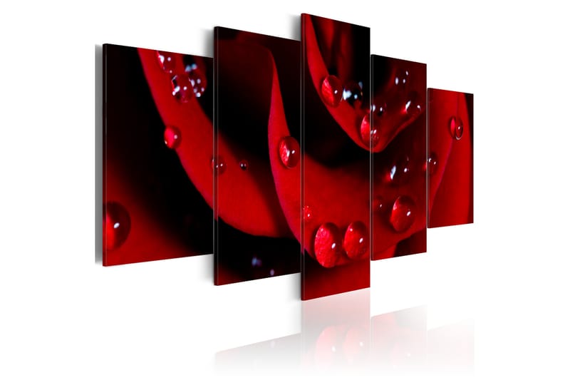 Bilde Rose With Dew 200x100 - Artgeist sp. z o. o. - Innredning - Bilder & kunst - Lerretsbilder