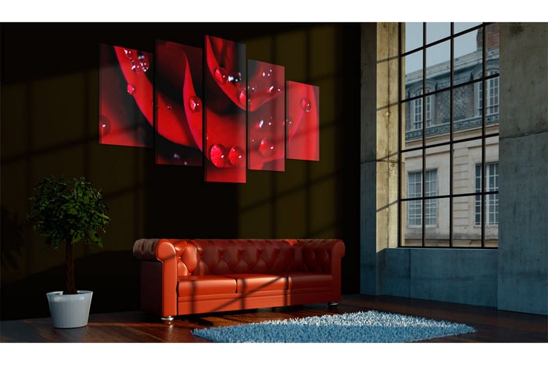 Bilde Rose With Dew 200x100 - Artgeist sp. z o. o. - Innredning - Bilder & kunst - Lerretsbilder