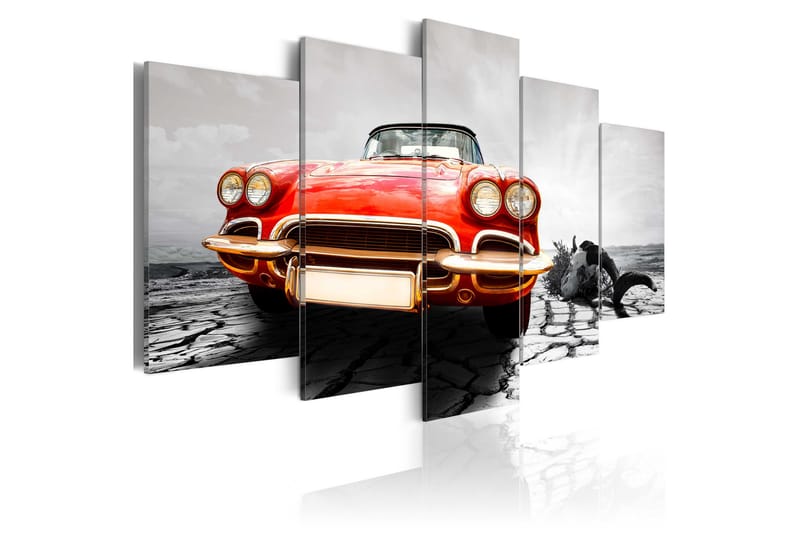Bilde Scarlet Arrow 200x100 - Artgeist sp. z o. o. - Innredning - Bilder & kunst - Lerretsbilder