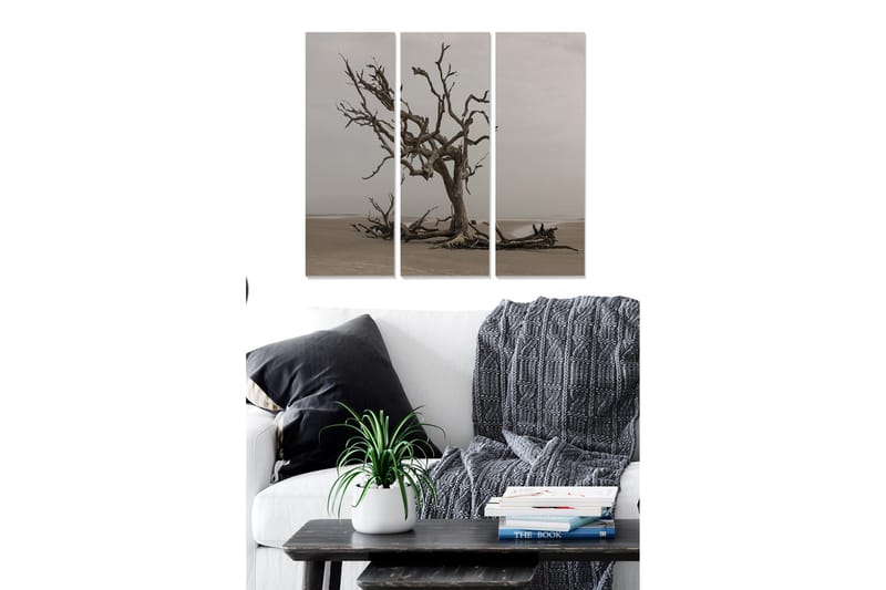 Bilde Scenic 3-pk Flerfarget, 22x05 cm