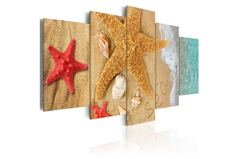 Bilde Sea Treasure 100x50 - Artgeist sp. z o. o. - Innredning - Bilder & kunst - Lerretsbilder