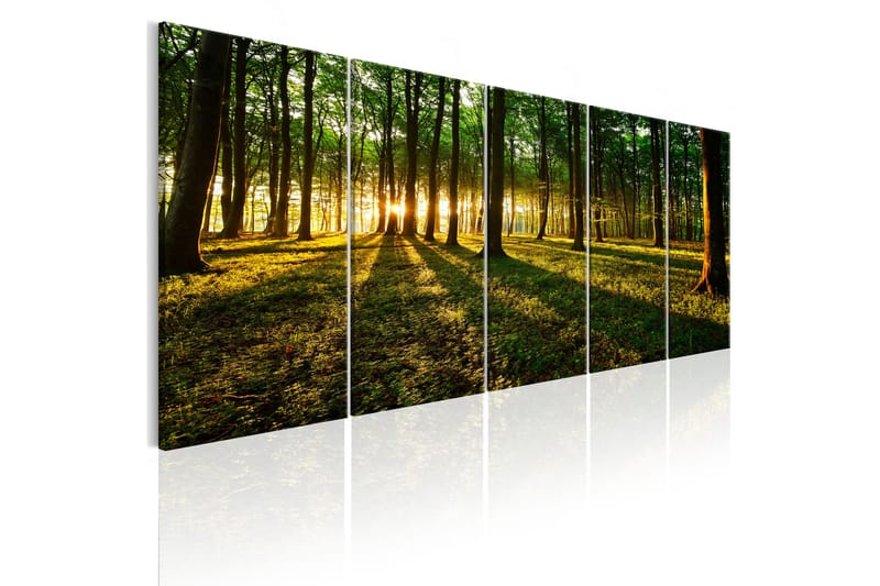 Bilde Shade Of Trees 200x80 - Artgeist sp. z o. o. - Innredning - Bilder & kunst - Lerretsbilder