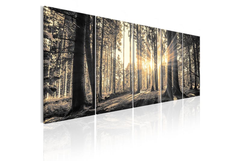 Bilde Shadow Guards 225x90 - Artgeist sp. z o. o. - Innredning - Bilder & kunst - Lerretsbilder