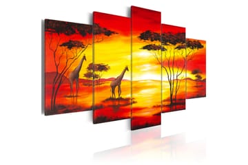 Bilde Sjiraffer I Bakgrunnen Med Solnedgang 200x100