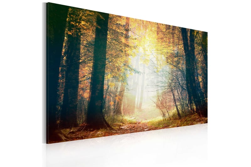 Bilde Skjønnheten Høst 60x40 - Artgeist sp. z o. o. - Innredning - Bilder & kunst - Lerretsbilder
