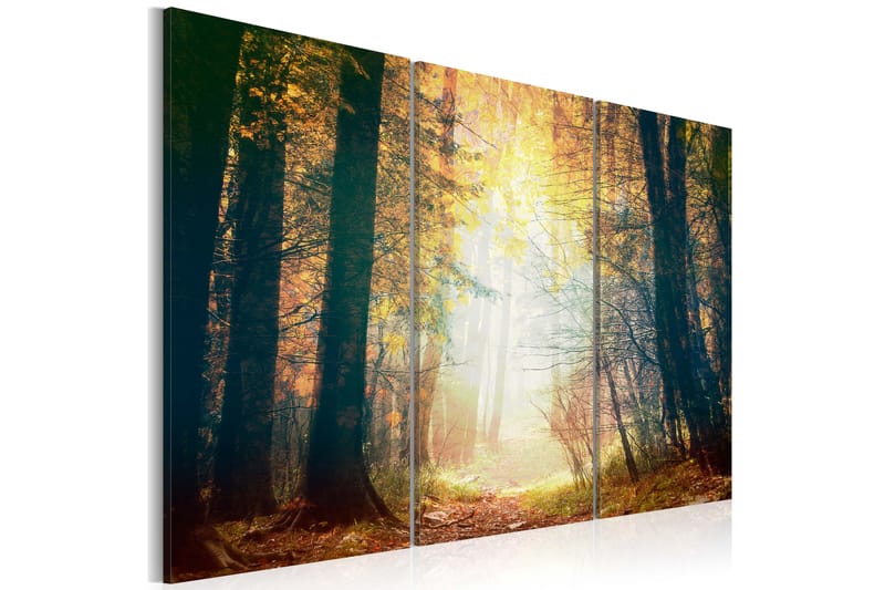 Bilde Skjønnheten Høst Triptyk 60x40 - Artgeist sp. z o. o. - Innredning - Bilder & kunst - Lerretsbilder