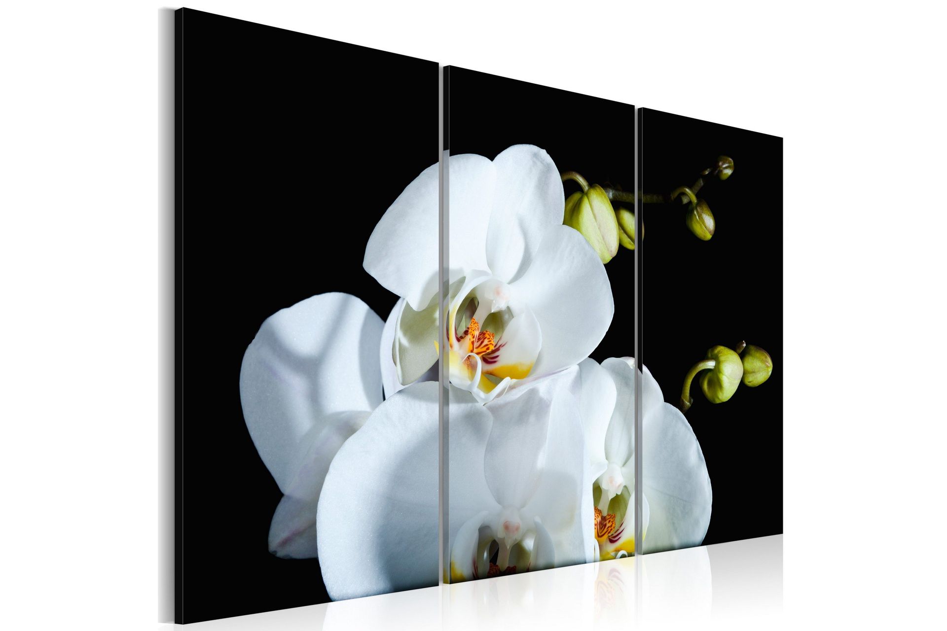 Bilde Snøet Orkidé 120x80 - Artgeist sp. z o. o.