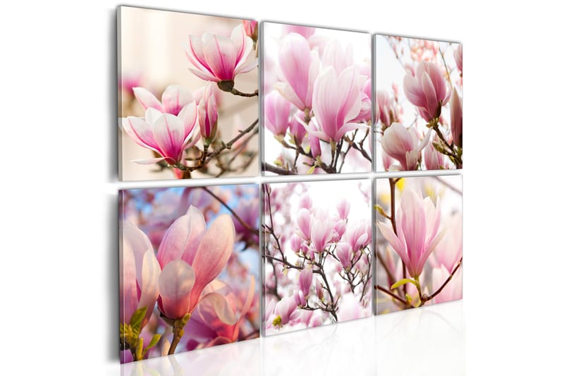 Bilde Southern Magnolias 120x80 - Artgeist sp. z o. o. - Innredning - Bilder & kunst - Lerretsbilder