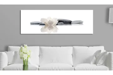 Bilde Spa Beauty And Relaxation 120x40 - Artgeist sp. z o. o. - Innredning - Bilder & kunst - Lerretsbilder