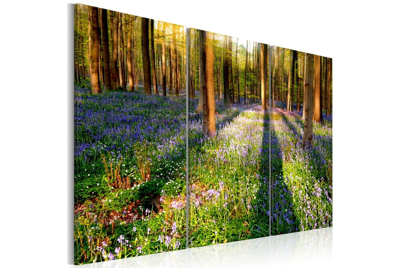 Bilde Spring Forest 120x80 - Artgeist sp. z o. o. - Innredning - Bilder & kunst - Lerretsbilder