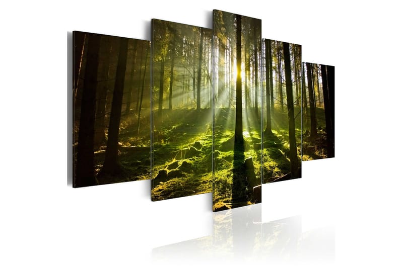 Bilde Spring Silence 200x100, Artgeist sp. z o. o.