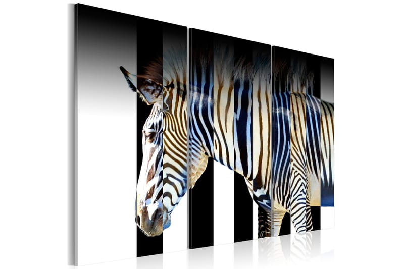 Bilde Stripes 120x80, Artgeist sp. z o. o.