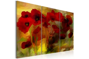 Bilde Sublime poppy 90x60