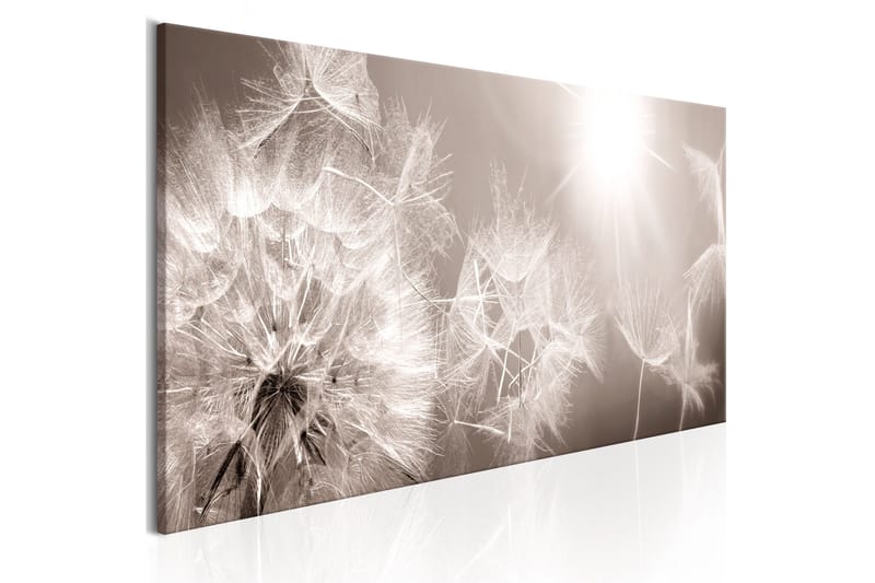 Bilde Summer Dandelions 135x45, Artgeist sp. z o. o.