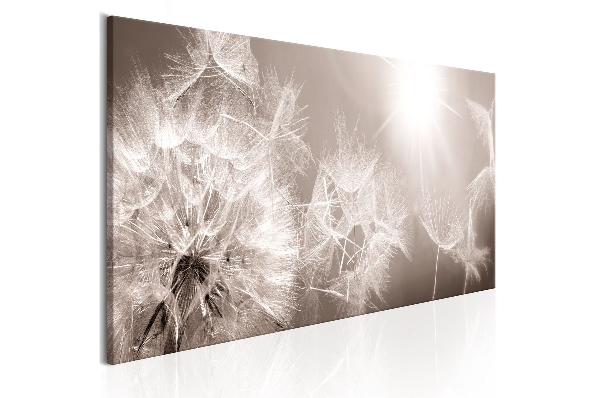 Bilde Summer Dandelions 150x50 - Artgeist sp. z o. o.