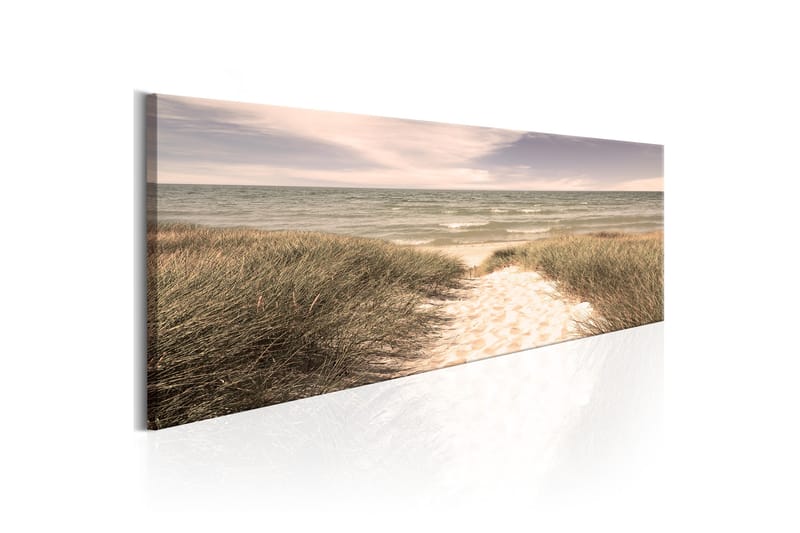 Bilde Summer Dream 150x50 - Artgeist sp. z o. o. - Innredning - Bilder & kunst - Lerretsbilder