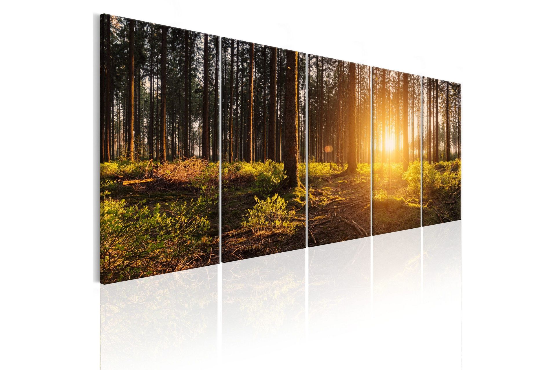 Bilde Summer Morning 225x90 - Artgeist sp. z o. o.