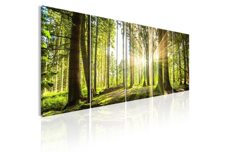 Bilde Sunlight 225x90, Artgeist sp. z o. o.