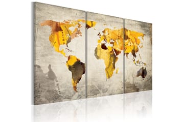 Bilde Sunny continents 90x60