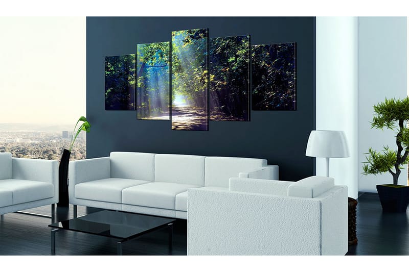 Bilde Sunny Forest Path 200x100 - Artgeist sp. z o. o. - Innredning - Bilder & kunst - Lerretsbilder