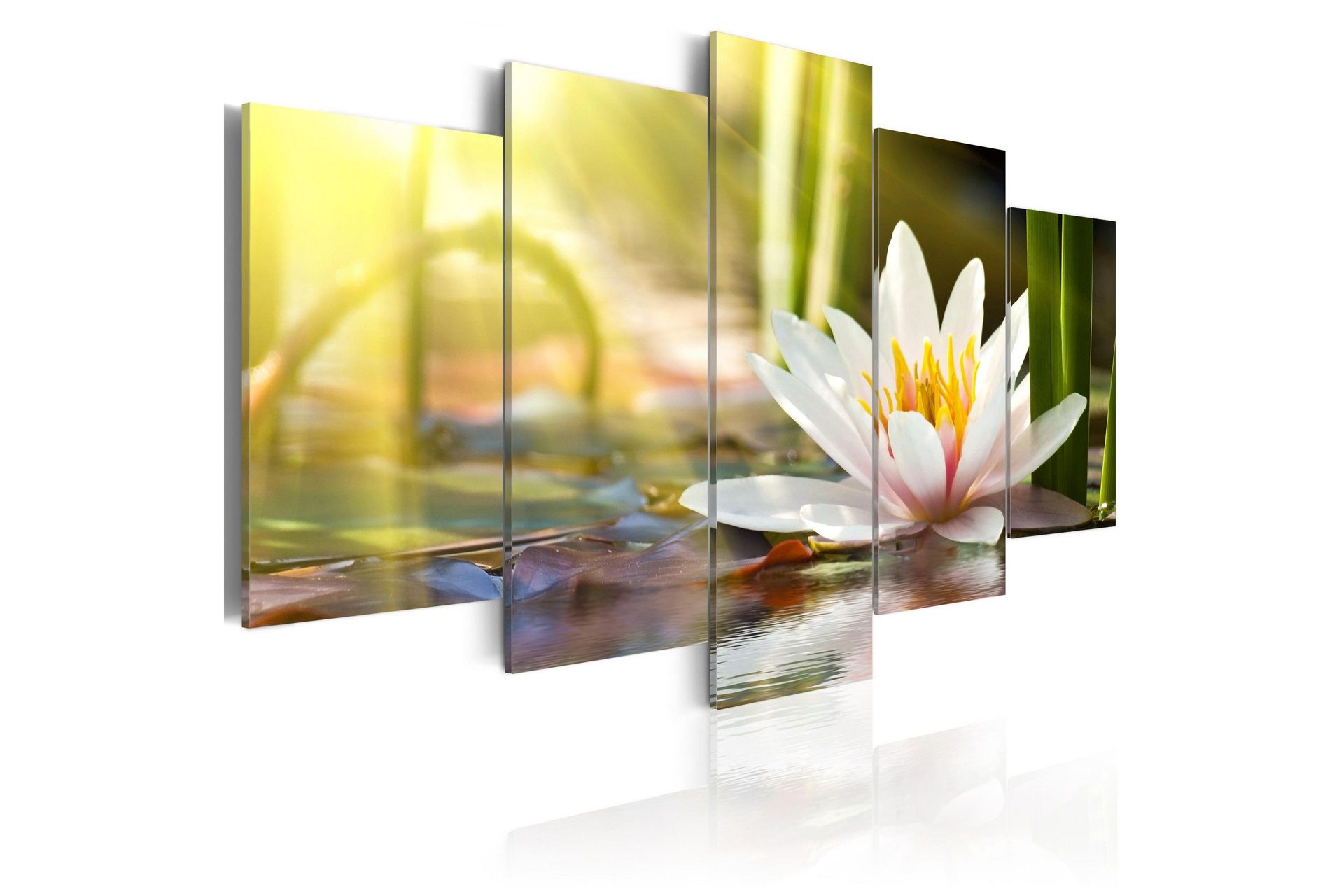 Bilde Sunny Lotus 100x50 - Artgeist sp. z o. o.