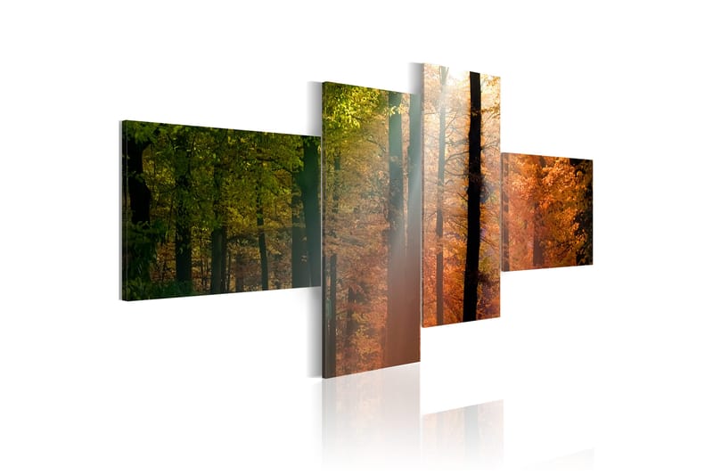 Bilde Sunrays Between Trees 100x45 - Artgeist sp. z o. o. - Lerretsbilder