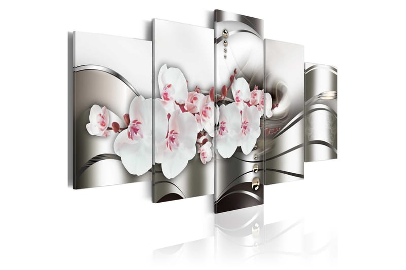 Bilde The Beauty Of Orchids 100x50, Artgeist sp. z o. o.