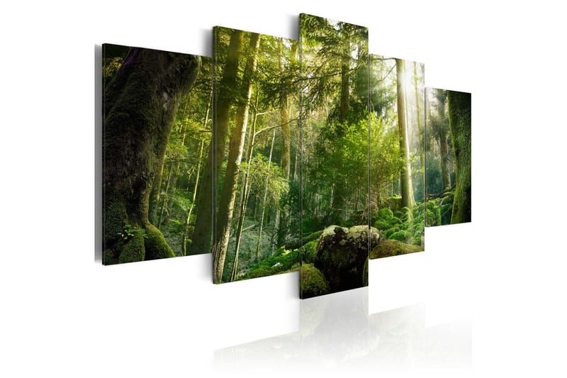 Bilde The Beauty Of The Forest 200x100, Artgeist sp. z o. o.