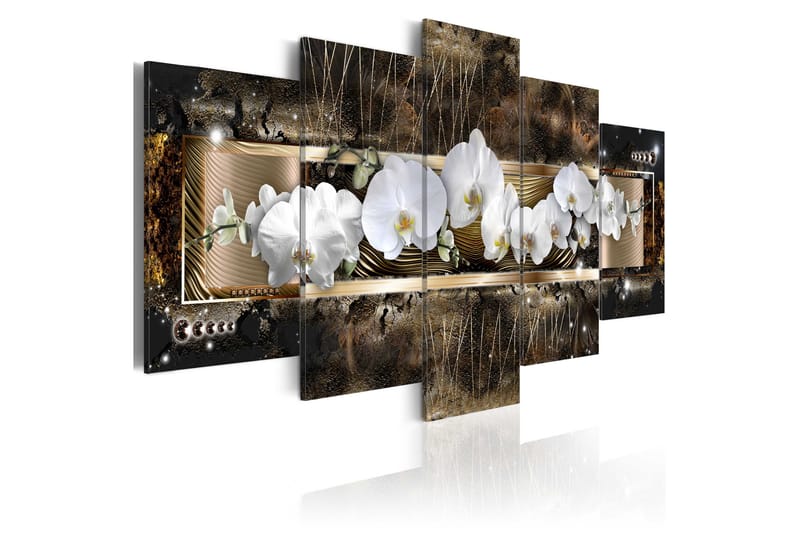 Bilde The Dream Of A Orchids 100x50 - Artgeist sp. z o. o. - Innredning - Bilder & kunst - Lerretsbilder