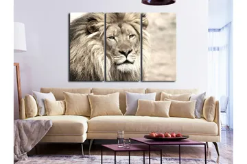 Bilde The King Of Beasts 3 Parts Beige 120x80 - Artgeist sp. z o. o. - Innredning - Bilder & kunst - Lerretsbilder