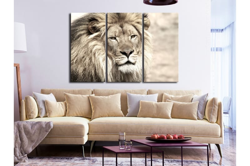 Bilde The King Of Beasts 3 Parts Beige 120x80 - Artgeist sp. z o. o. - Innredning - Bilder & kunst - Lerretsbilder