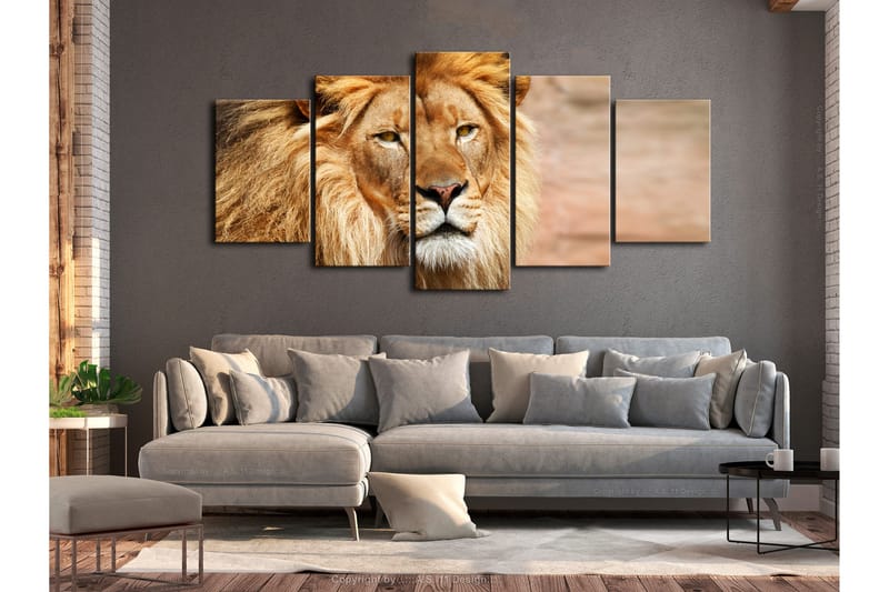 Bilde The King Of Beasts 5 Parts Wide Orange 100x50 - Artgeist sp. z o. o. - Innredning - Bilder & kunst - Lerretsbilder