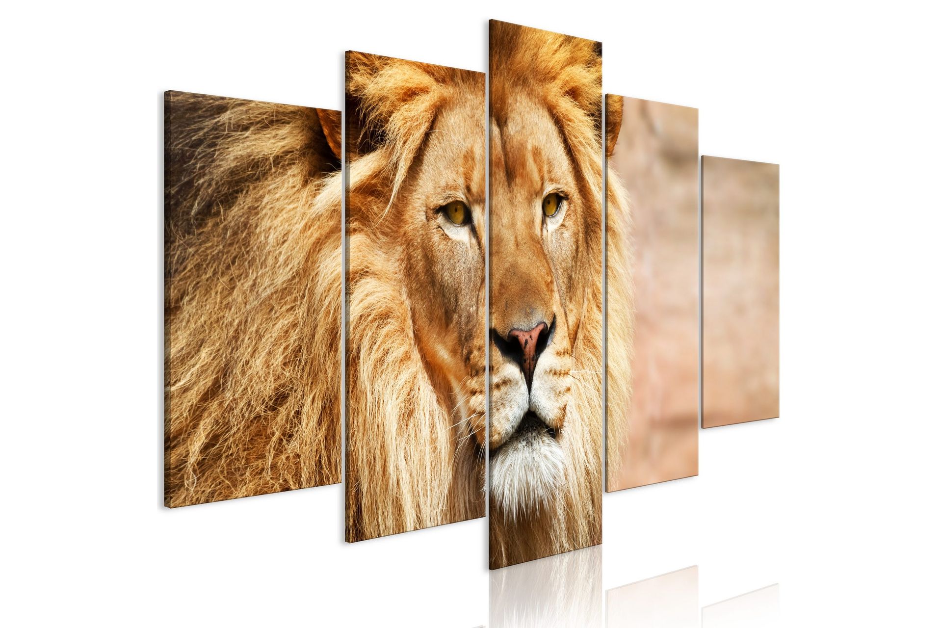 Bilde The King Of Beasts 5 Parts Wide Orange 100x50 - Artgeist sp. z o. o.