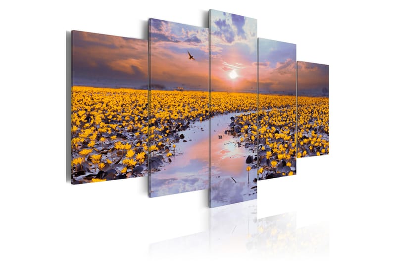 Bilde The River Of Light 100x50 - Artgeist sp. z o. o. - Innredning - Bilder & kunst - Lerretsbilder