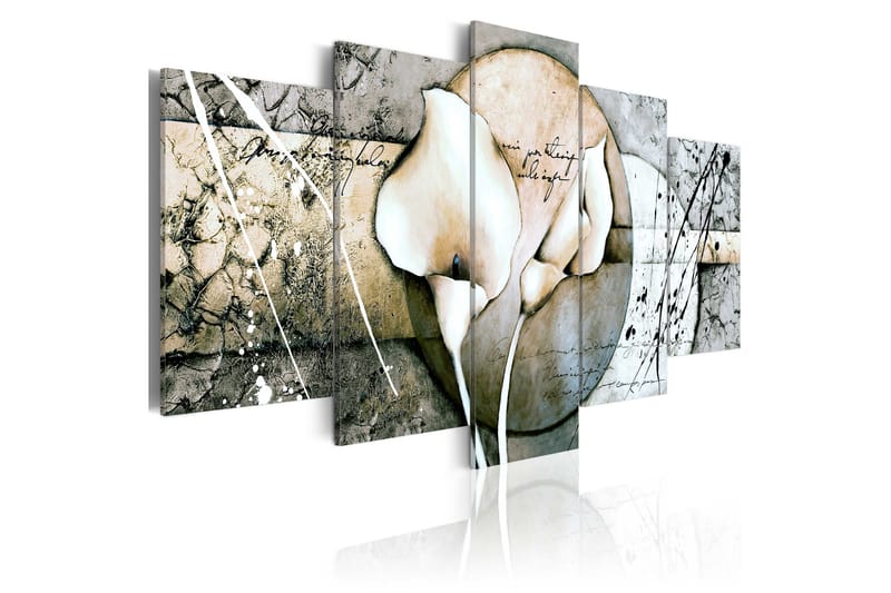 Bilde The Secret Of Calla Lily Grey 100x50 - Artgeist sp. z o. o. - Lerretsbilder